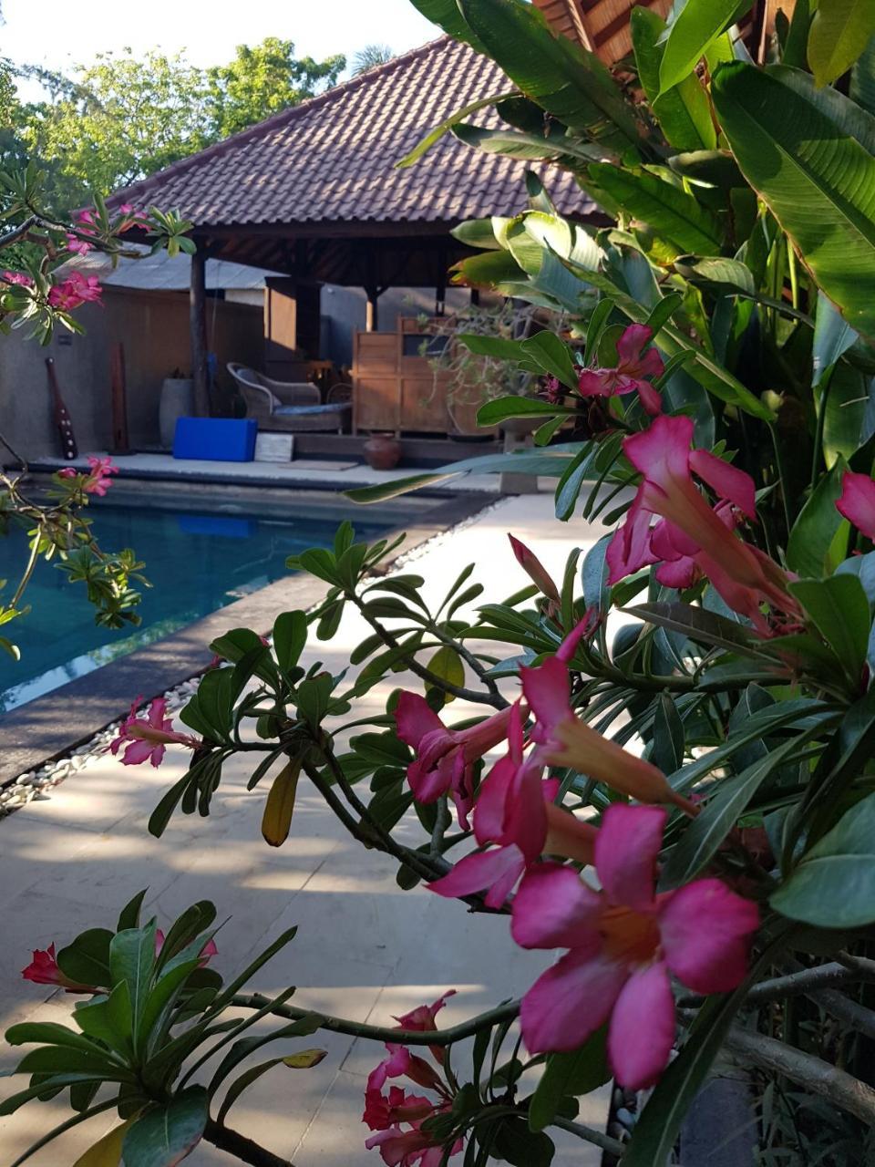 Gili Exotic Villa Τζίλι Τραγουανγκάν Εξωτερικό φωτογραφία