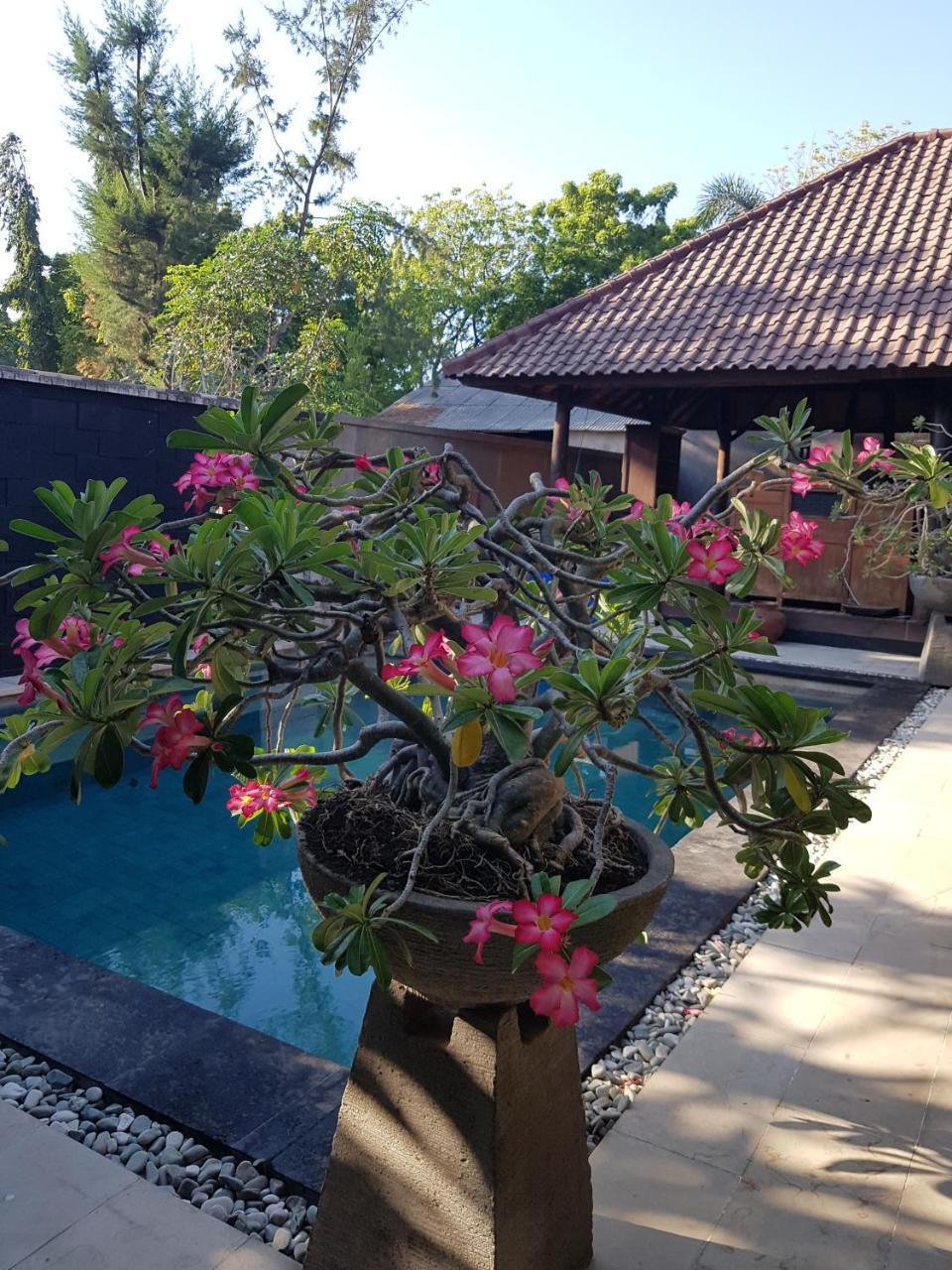 Gili Exotic Villa Τζίλι Τραγουανγκάν Εξωτερικό φωτογραφία